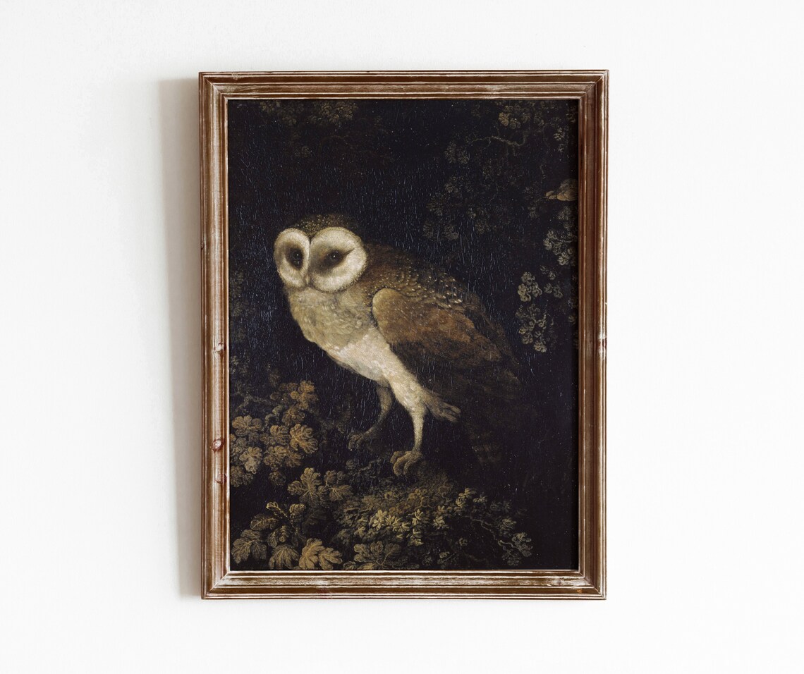 Night Owl Vintage Nocturnal Bird Art Print
