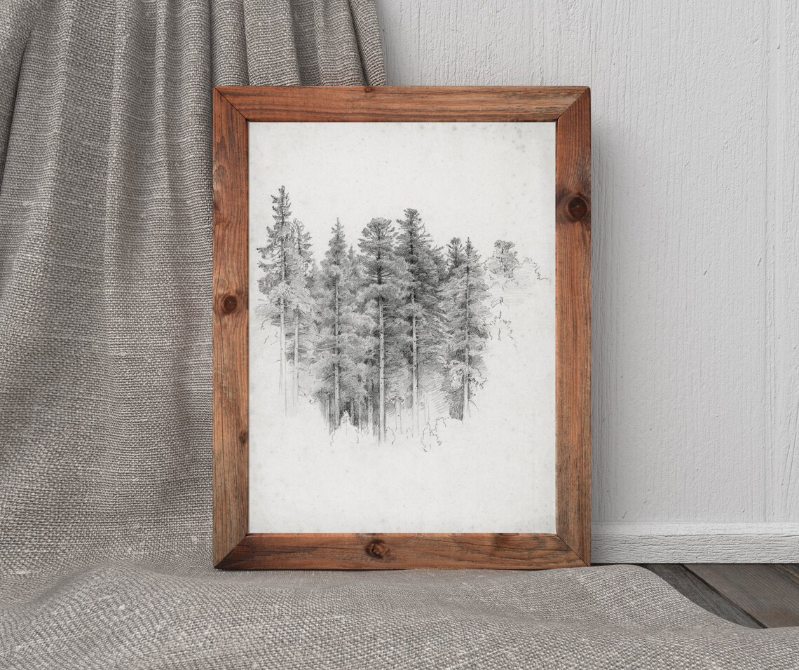 Tree Study Sketch Vintage Black And White Art Print - Image 4