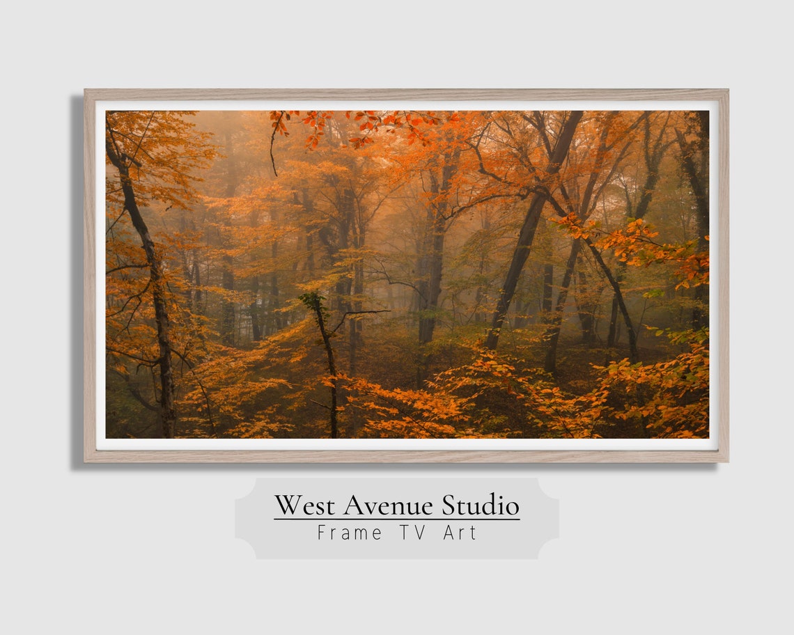 Misty Orange Autumn Forest Golden Fall Trees Foggy Woodland Poster - Image 4