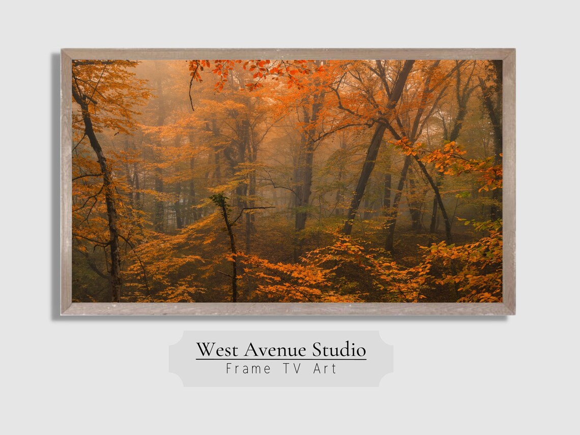 Misty Orange Autumn Forest Golden Fall Trees Foggy Woodland Poster