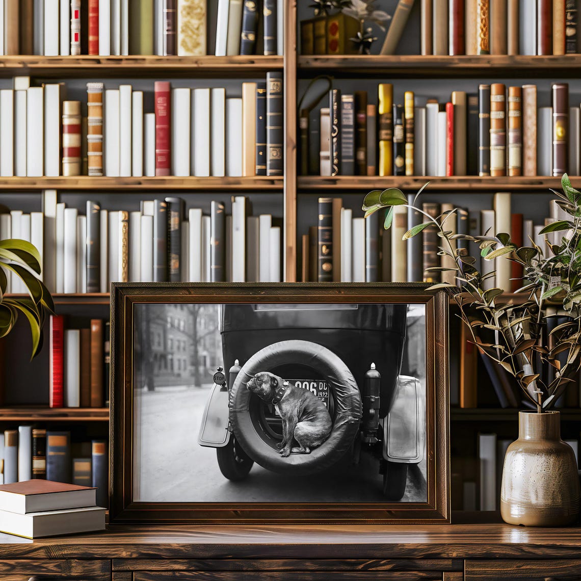 Funny Bulldog Puppy in Spare Tire Vintage 1922 Car Photo Poster - Image 3