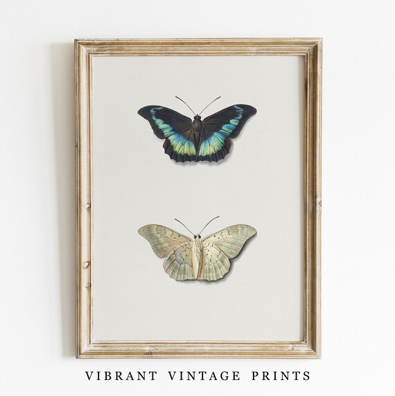 Vintage Butterfly Art Print, Soft Neutral Colors