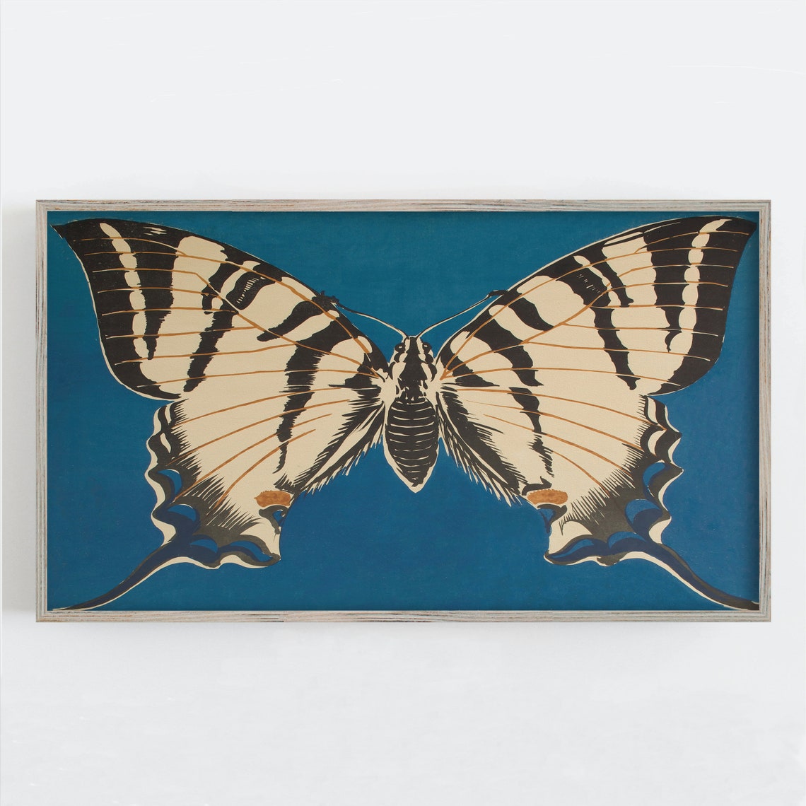 Swallowtail Butterfly Deep Teal Vintage Natural History Art Print