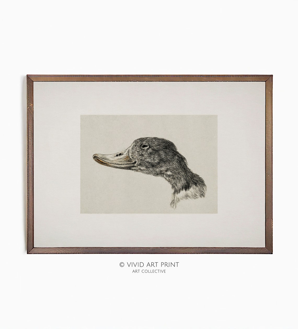 Vintage Duck Nursery Wall Art Mountain Duck Instant Home Decor Vivid Art Print Jb 712