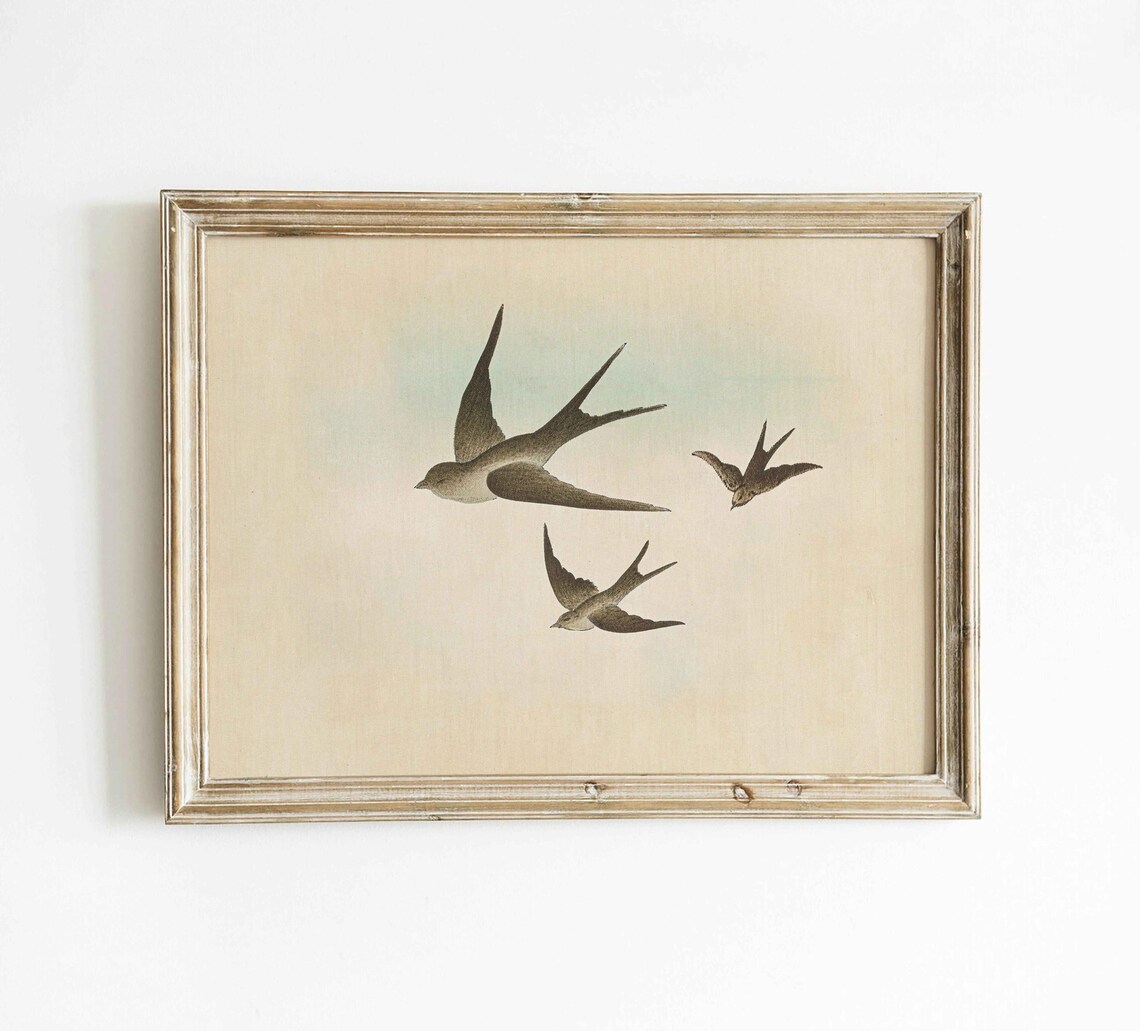 Vintage Nursery Bird Painting, Three Swallows - Image 3