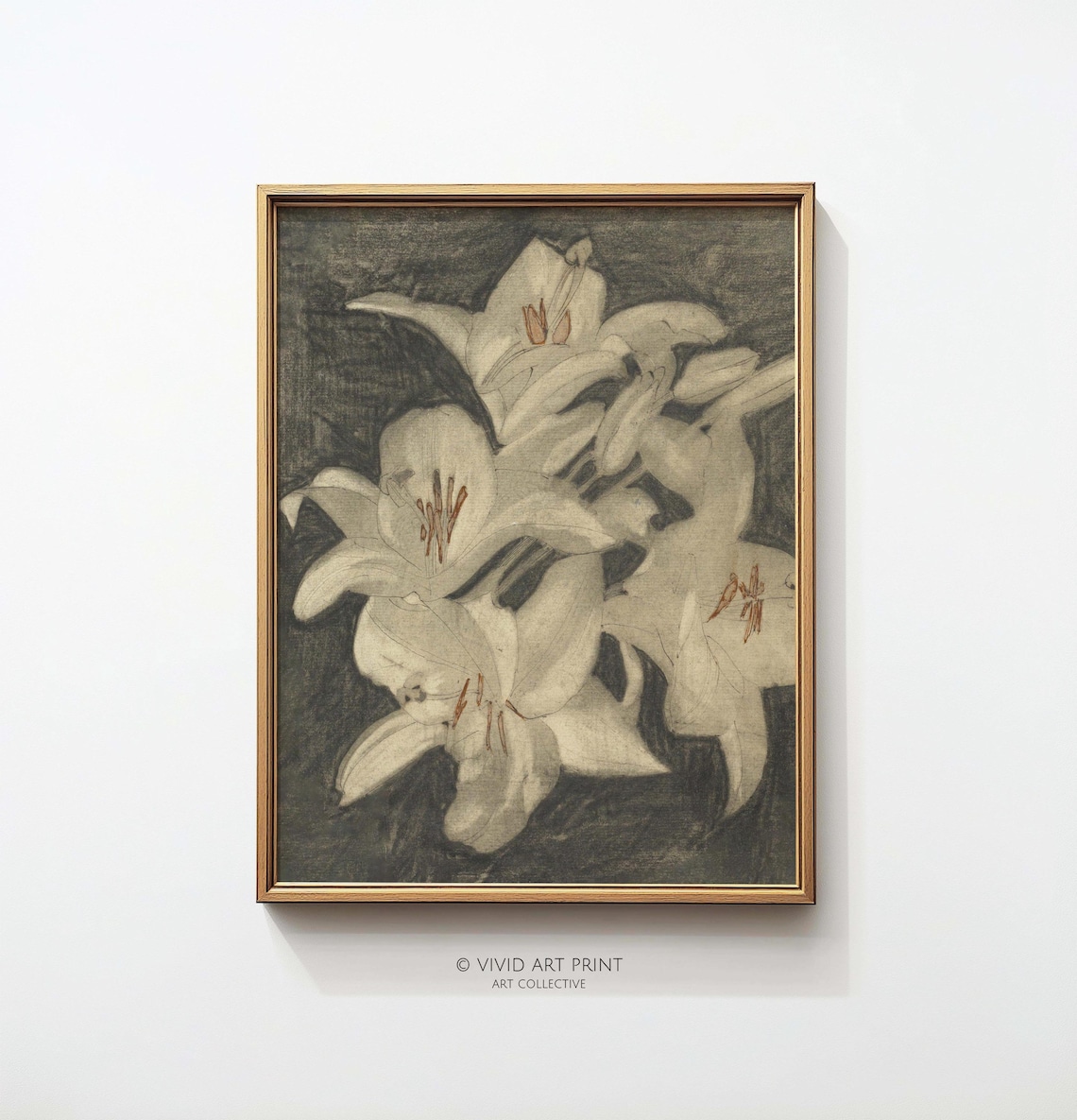 Floral Minimalist Vintage Lily Sketch, Botanical