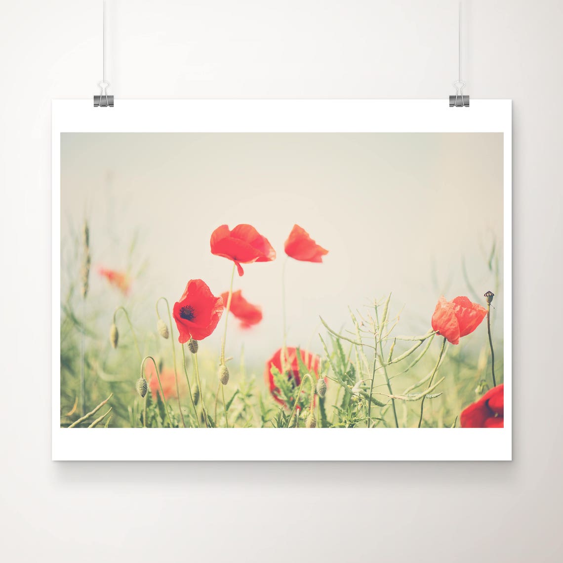Red Poppy Field Photograph English Garden Botanical Print