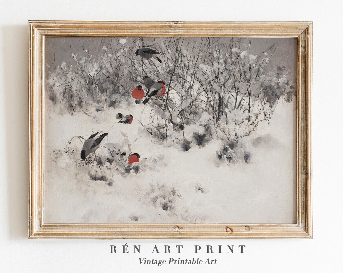 Bullfinch Birds Snowy Branches Winter Wildlife Vintage Print