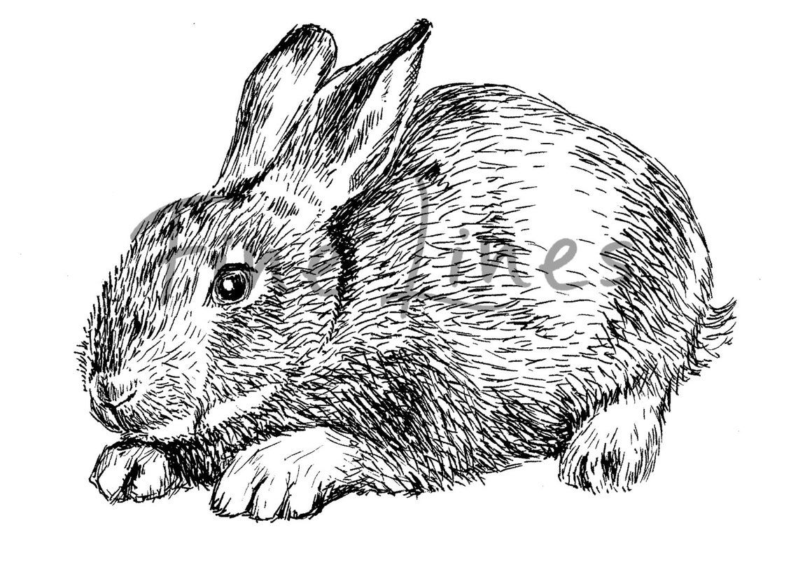 Cute Rabbit Drawing Easter Bunny Poster Farmhouse Bunny Wall Art - Image 2