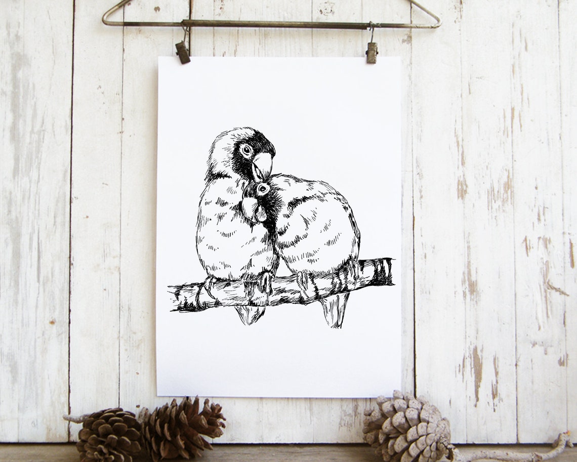 Lovebird Parrot Pair Ink Sketch Black White Bird Couple Print - Image 2