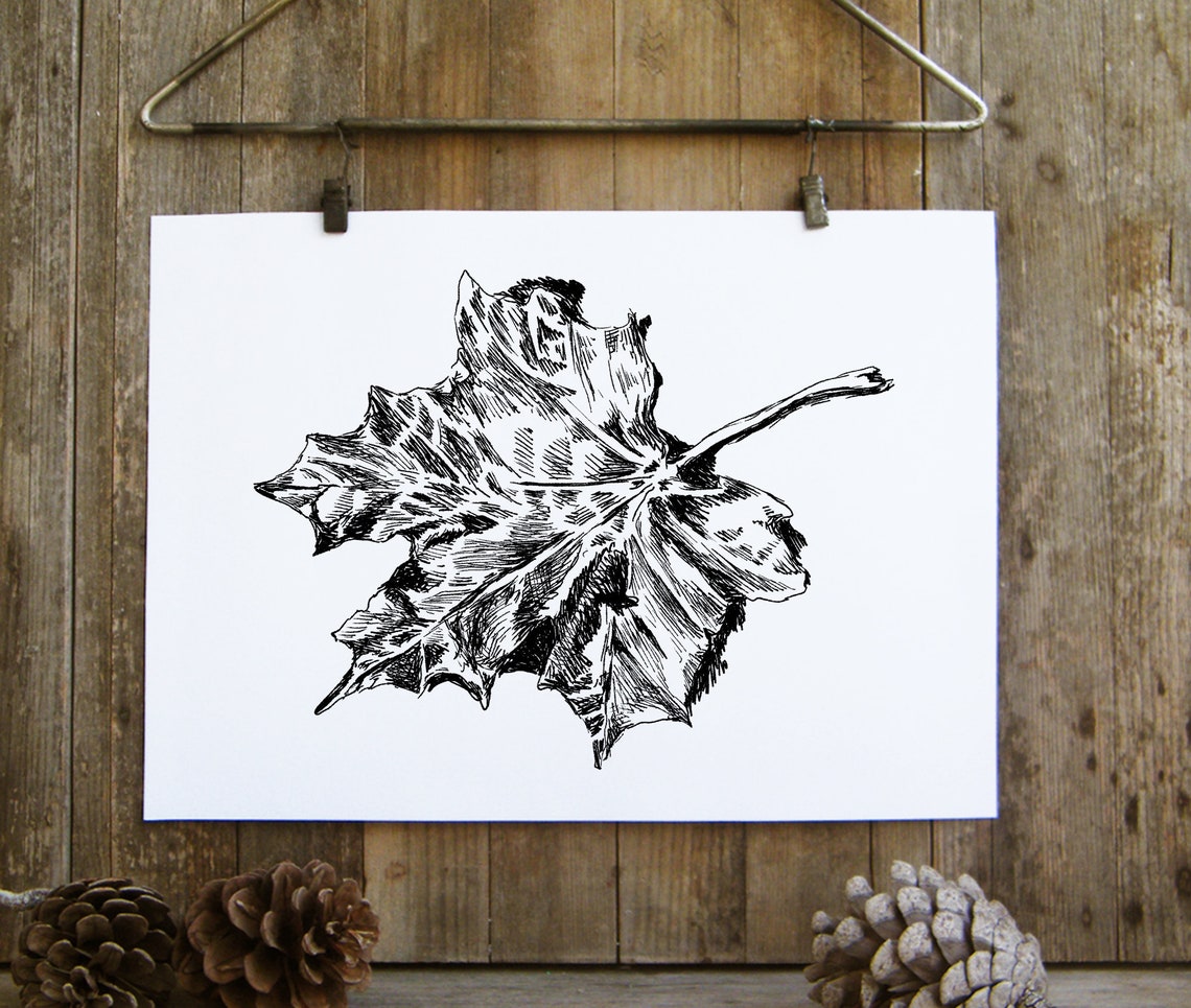 Maple Leaf Ink Drawing Black and White Autumn Botanical Art Poster - Image 3