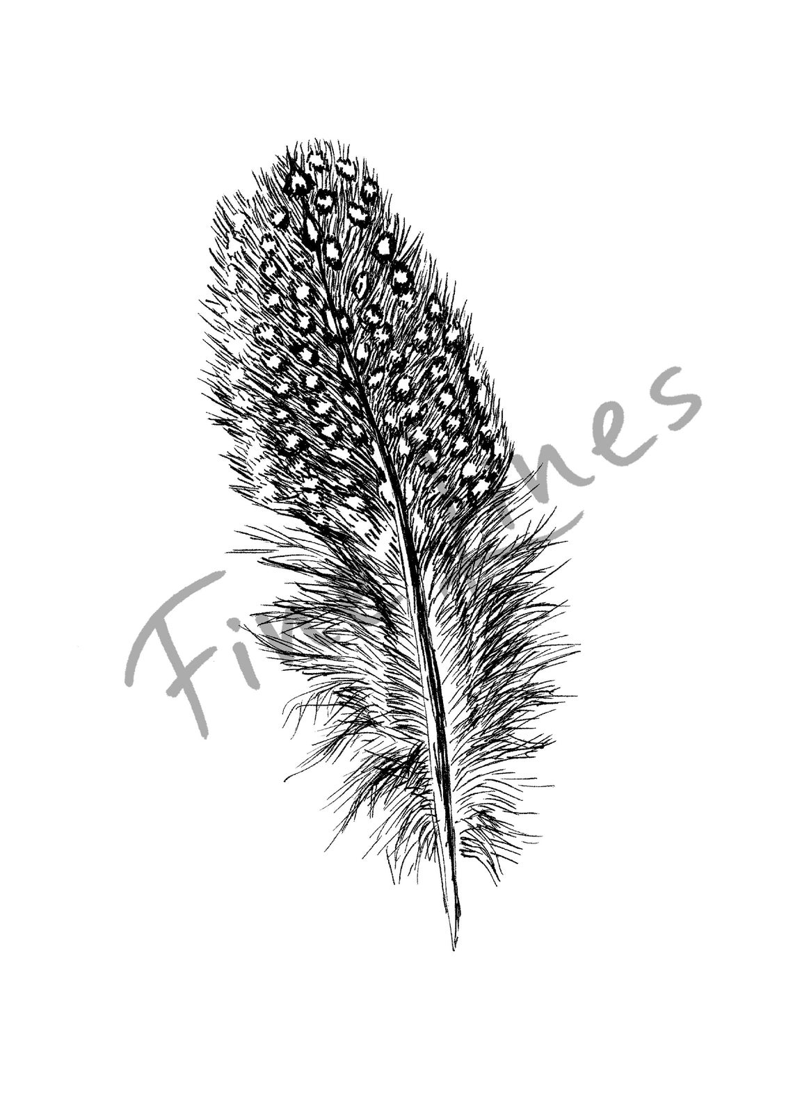 Peacock Feather Black and White Hand Drawn Nature Sketch Wall Art - Image 3