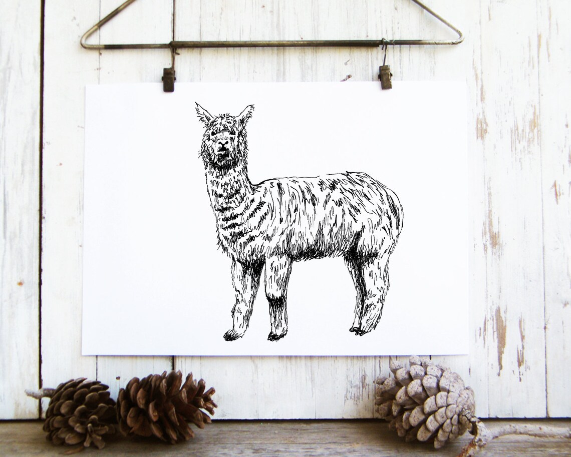Llama Ink Sketch Minimalist Black White Farm Animal Line Print - Image 2