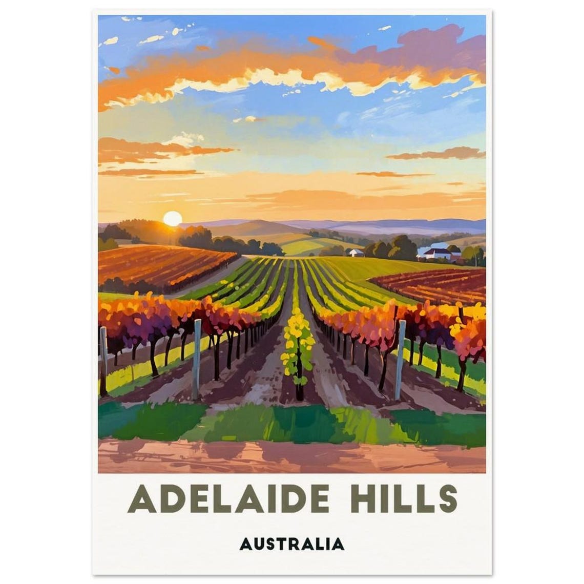 Adelaide Hills Australia Vineyard Rows At Sunset Travel Poster - Image 3