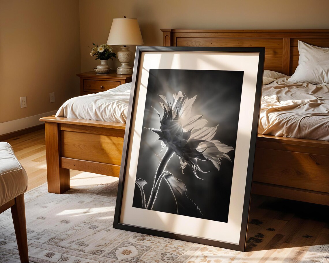 Backlit Sunflower in Black and White Dramatic Flower Photo Poster - Image 4