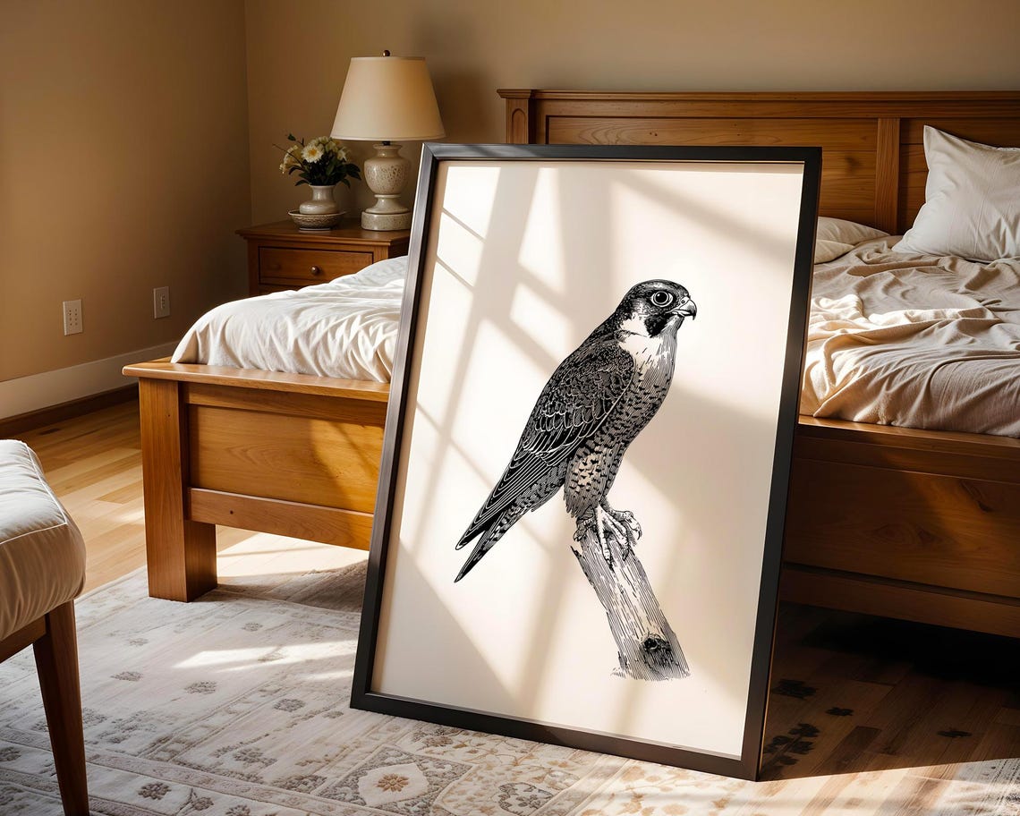 Falcon Perched Branch Black White Engraving Style Bird Poster - Image 5
