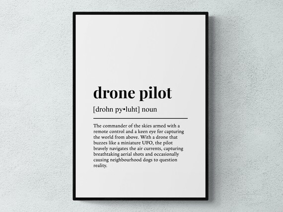 Drone Pilot Funny Definition Typography Wall Art Print