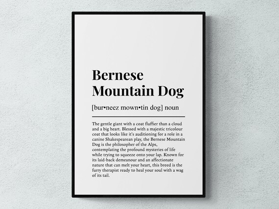 Bernese Mountain Dog Funny Definition Wall Art Print