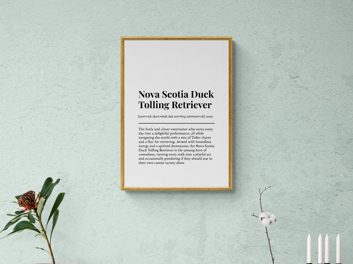 Nova Scotia Duck Tolling Retriever Funny Definition Art Print - Image 2
