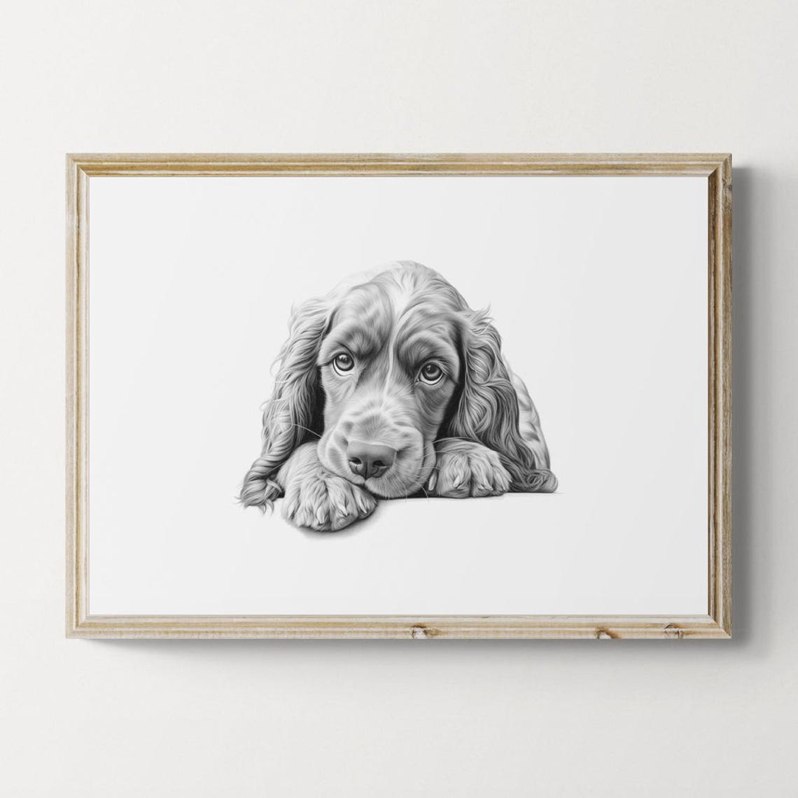 Cocker Spaniel Silky Ears Sketch Lying Down Vintage Dog Poster