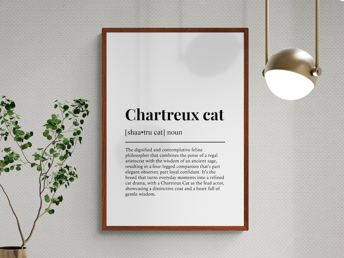Chartreux Cat Funny Definition Breed Print Feline Lover Gift Wall Art Poster - Image 3