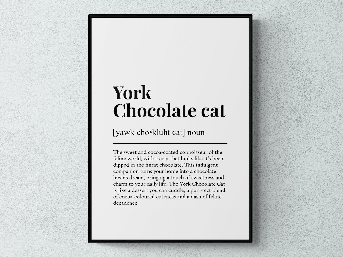 York Chocolate Cat Funny Definition Breed Print Feline Lover Gift Wall Art Poster