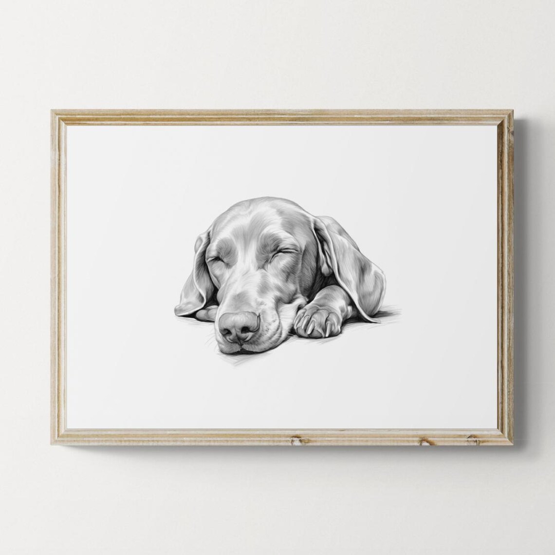 Sleeping Weimaraner Vintage Dog Sketch Art Print