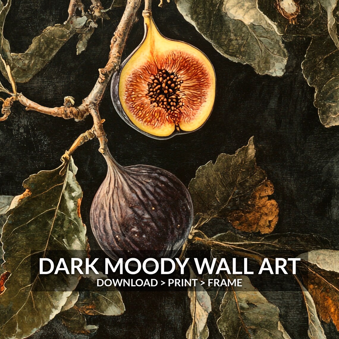 Vintage Fig Print, Dark Academia Kitchen Art - Image 6