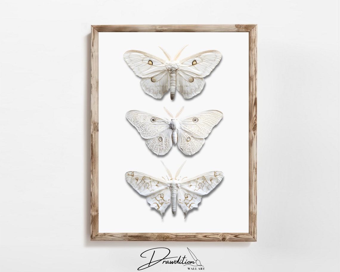 White Moth Trio Neutral Vintage Entomology Insect Fall Poster