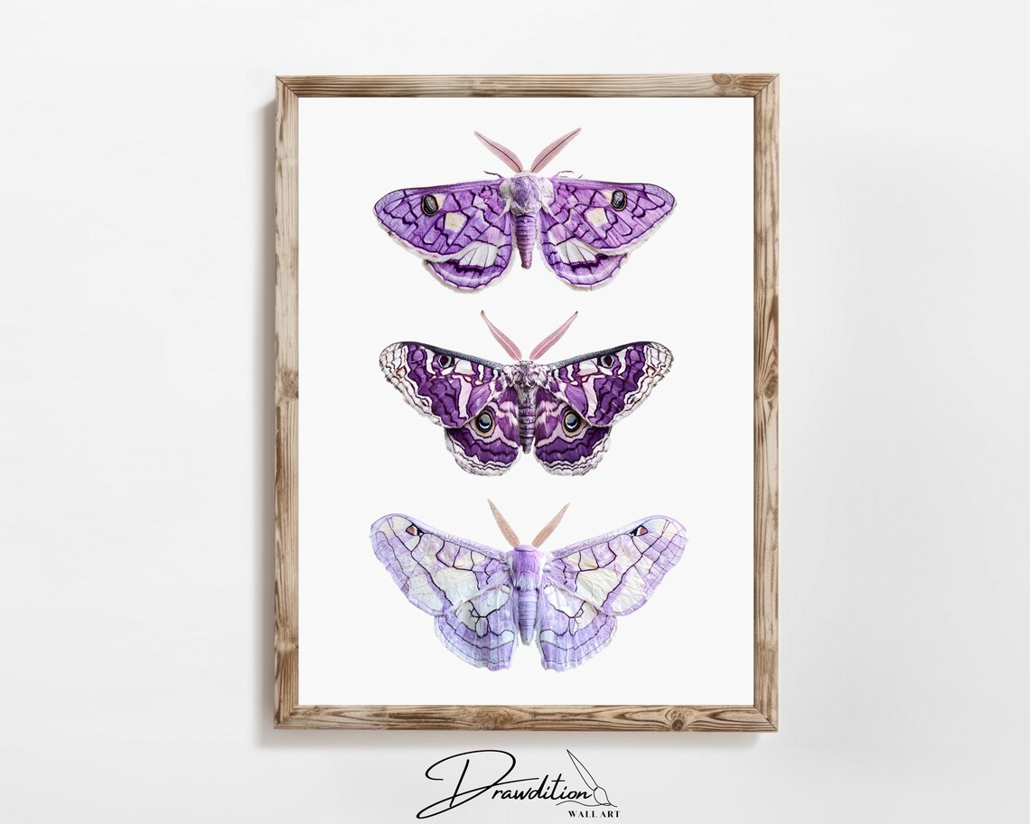 Purple Moths Fall Art Print, Autumn Thanksgiving