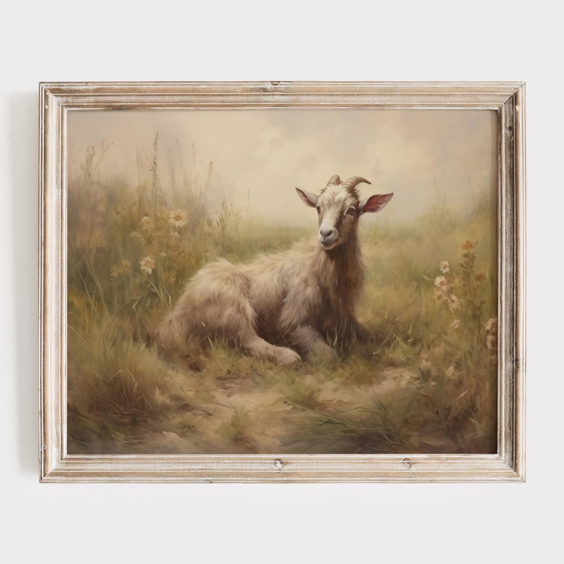 Young Goat Resting In Tall Grass On A Hazy Morning Farm Poster