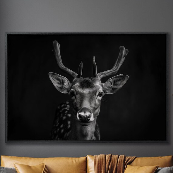 Spotted Fawn Portrait Black And White Gentle Deer Nature Wall Art