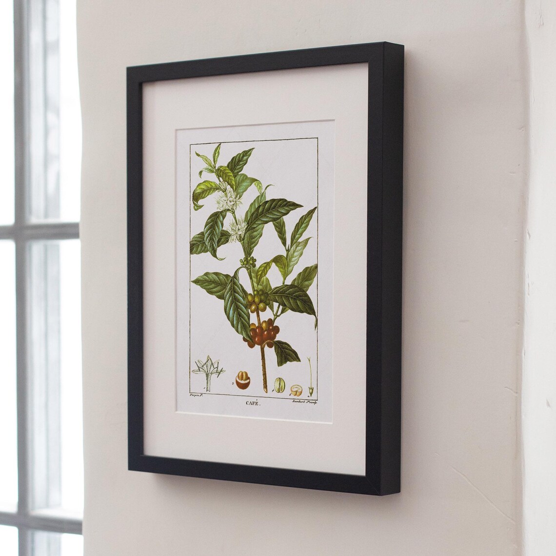 Coffea Arabica Botanical Poster, Kitchen Wall Art Print - Image 4