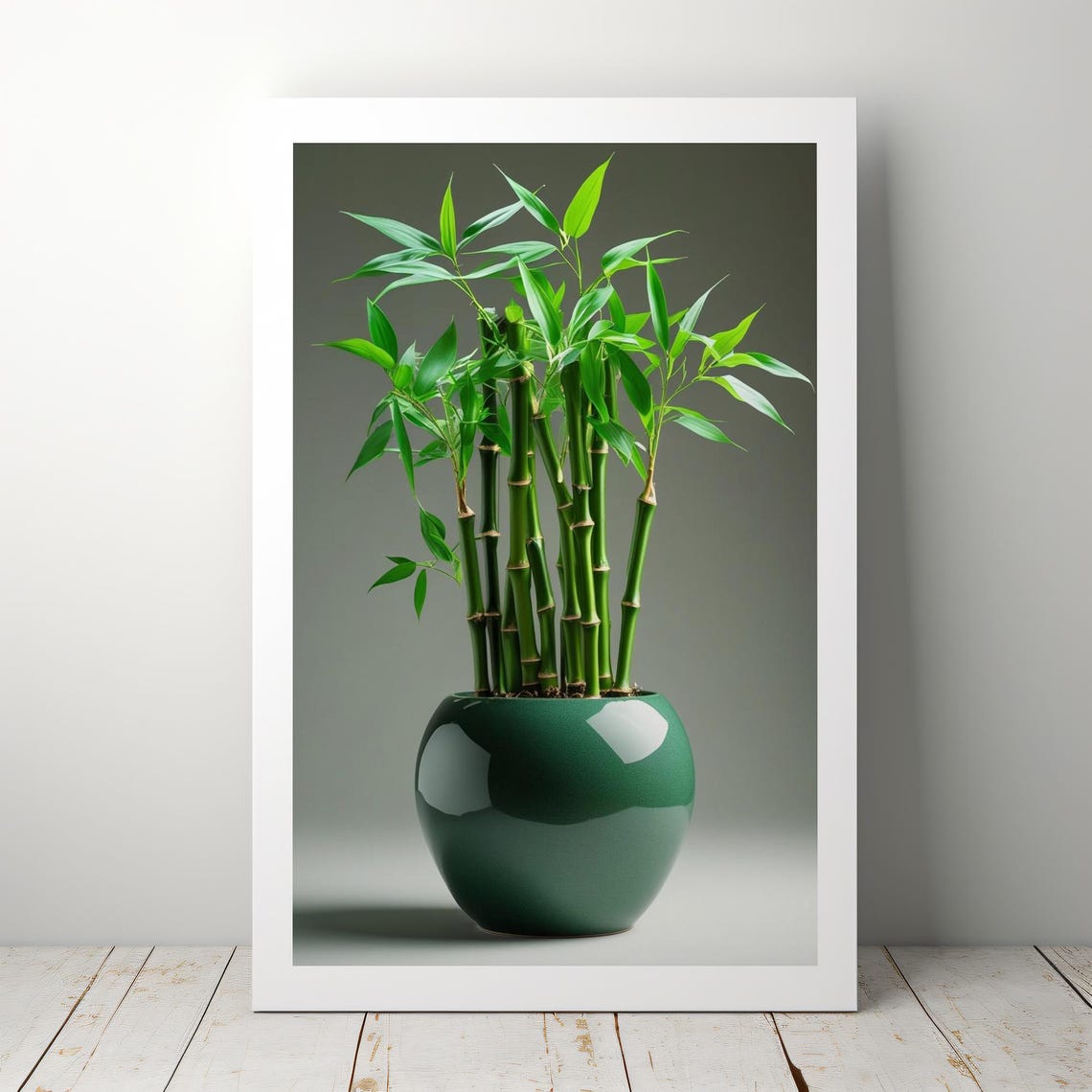 Lucky Bamboo Plant In Green Ceramic Pot Modern Botanical Poster