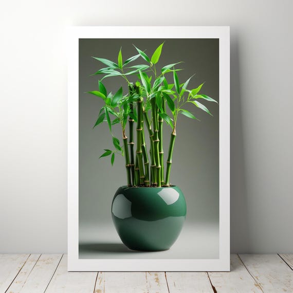 Lucky Bamboo Wall Art Realism Style Poster