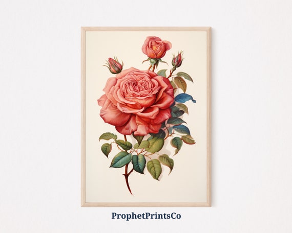 Vintage Rose Poster Print Botanical Wall Art Boho Floral Painting Cute Red Roses Home Dcor Wall Art