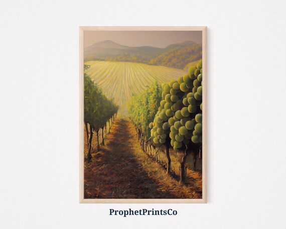 Golden Hour Vineyard Rows Ripe Grape Clusters Countryside Art Poster