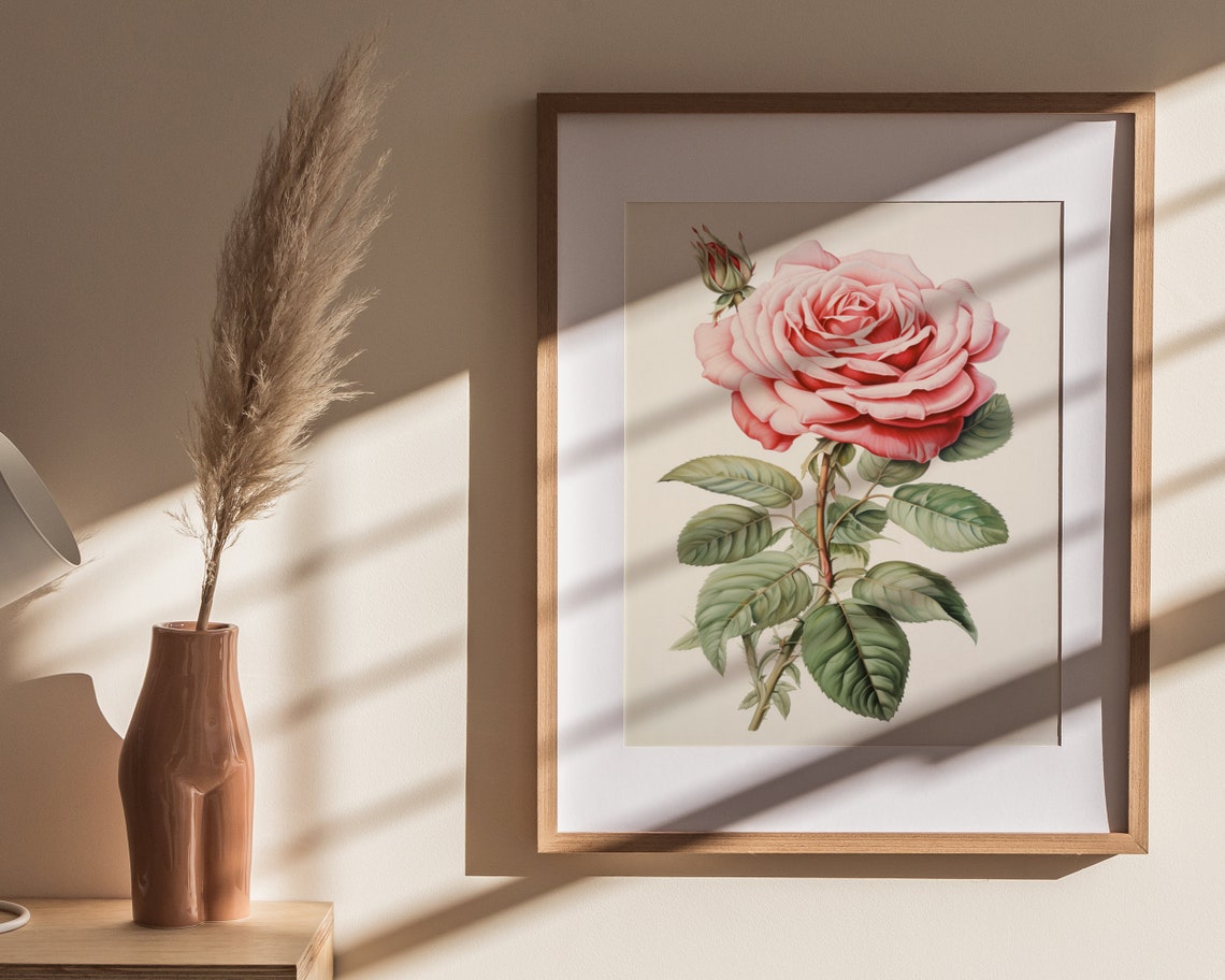 Soft Pink Rose Botanical Vintage Floral Illustration Art Poster - Image 4