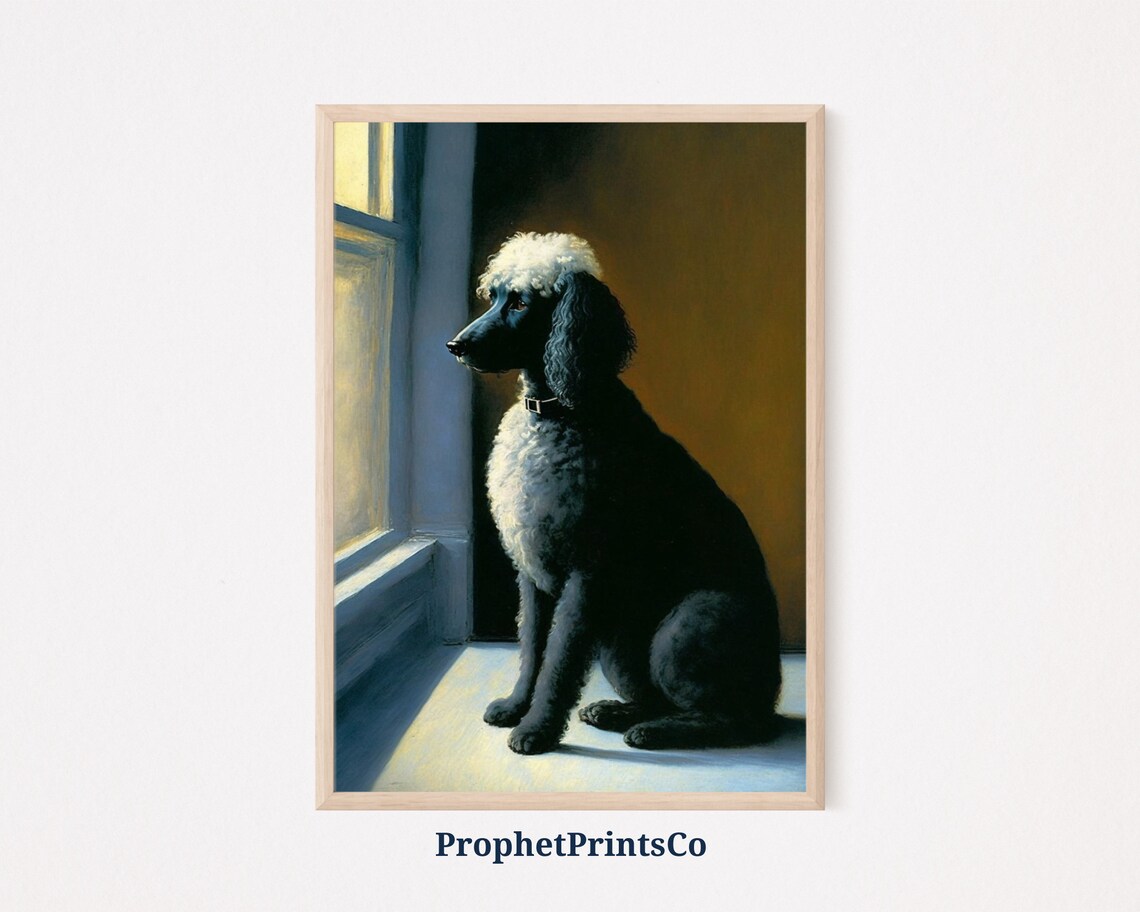 Black Poodle With White Topknot By Sunlit Window Fine Dog Poster