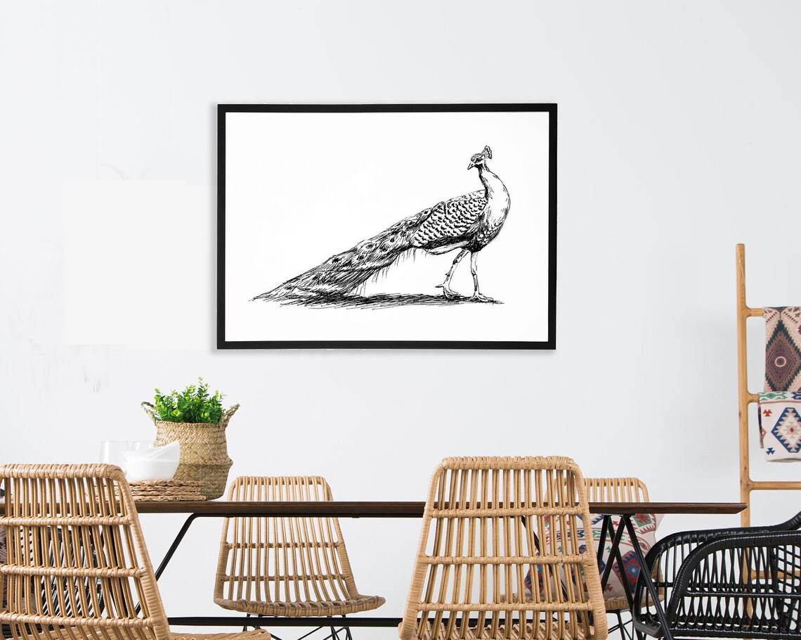 Peacock Poster, Black And White Bird Art Print