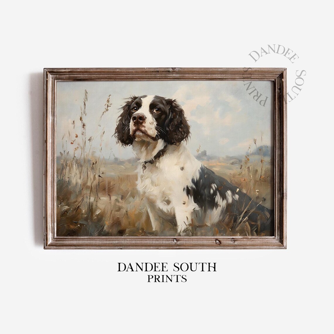 English Springer Spaniel Sitting Portrait Field Hunting Dog Print