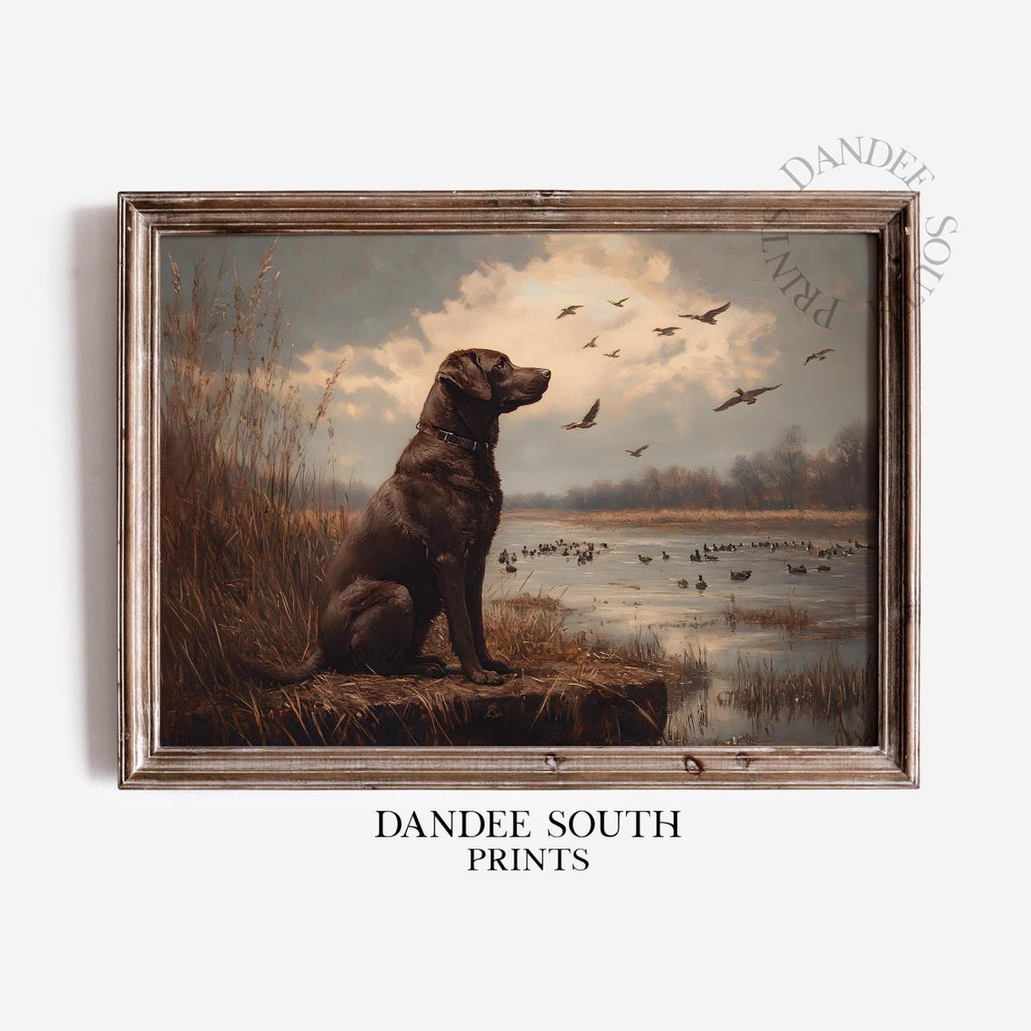Chocolate Labrador Marsh Flying Ducks Vintage Hunting Dog Poster