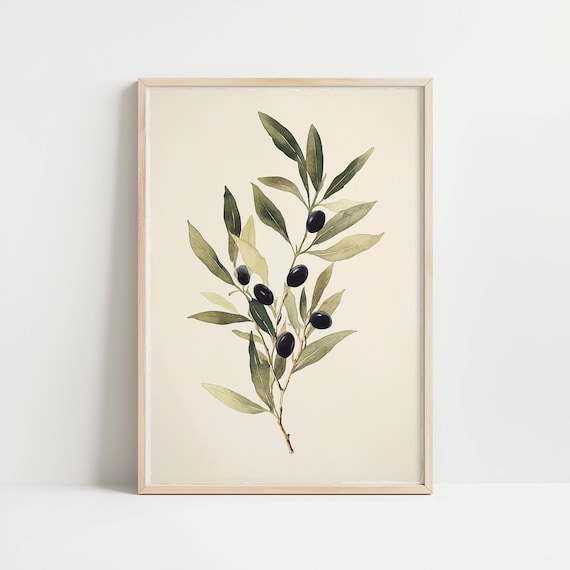 Vintage Olives Illustration Art Print, Botanical Kitchen Decor