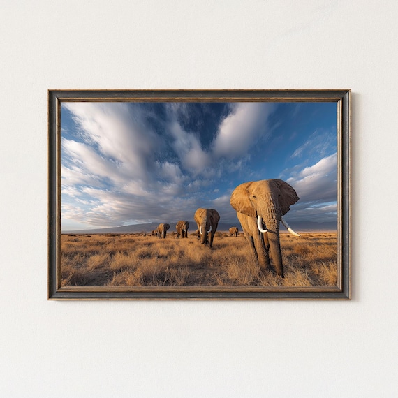 African Elephant Wildlife Photography Print Real Safari Landscape Wall Art