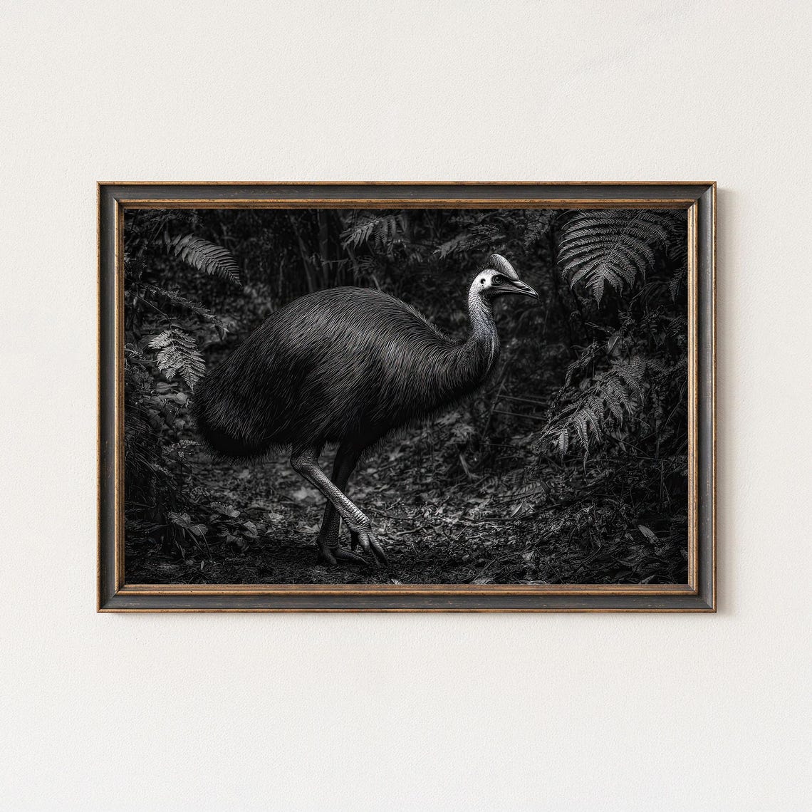 Wild Cassowary Bird In Rainforest Black And White Photo Poster