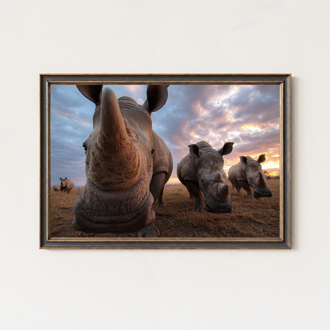 Rhino Photography Print, African Sunset Wildlife Art