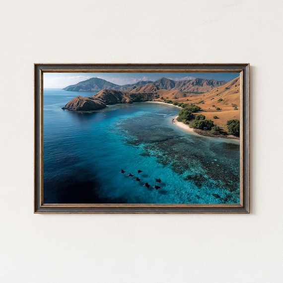 Manta Rays Gliding In Turquoise Bay By Tropical Island Hills Poster