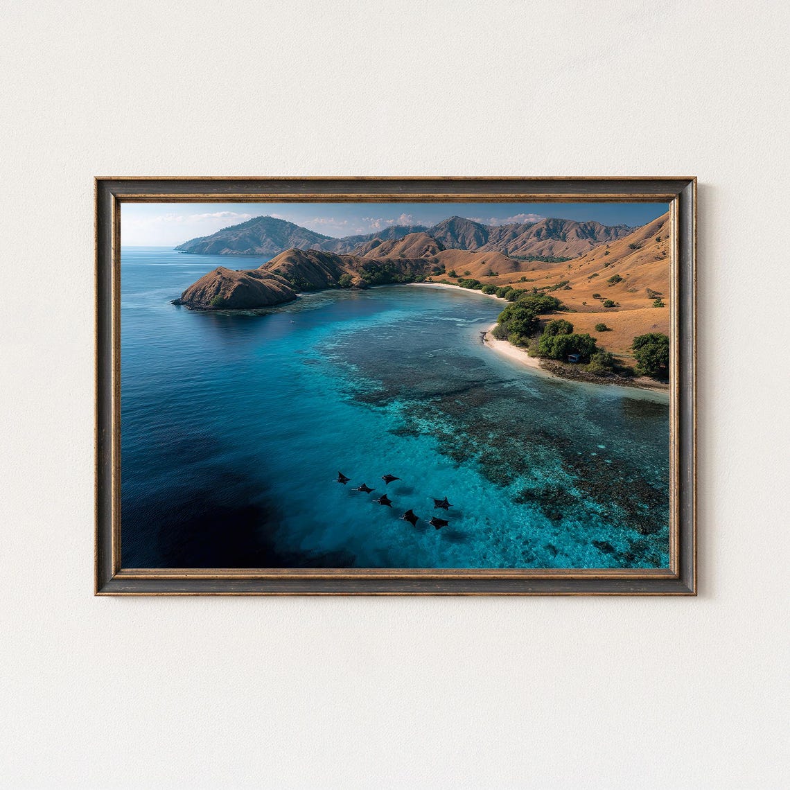 Manta Rays Gliding In Turquoise Bay By Tropical Island Hills Poster