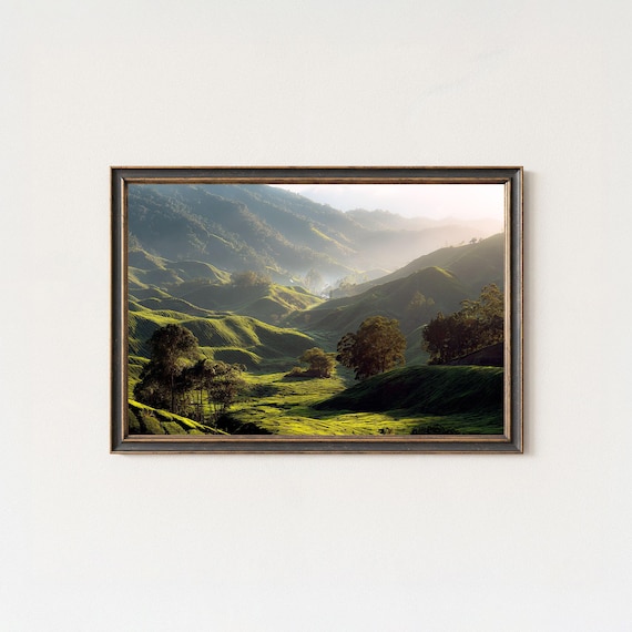 Cameron Highlands Misty Tea Terraces Morning Light Photo Poster
