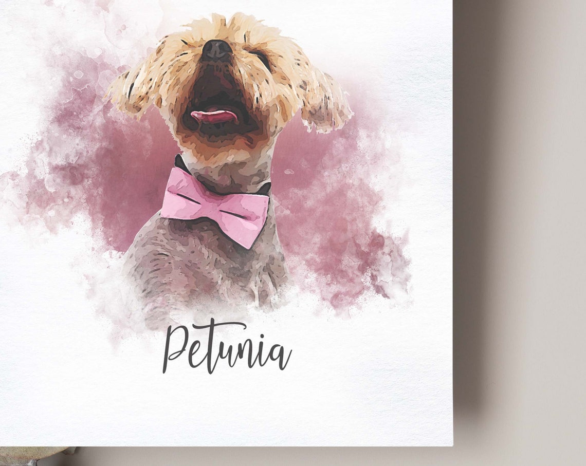 Custom Pet Portrait - Peekaboo Art